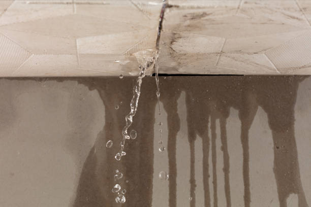 Professional Structural Drying technician working in Alborn, MN